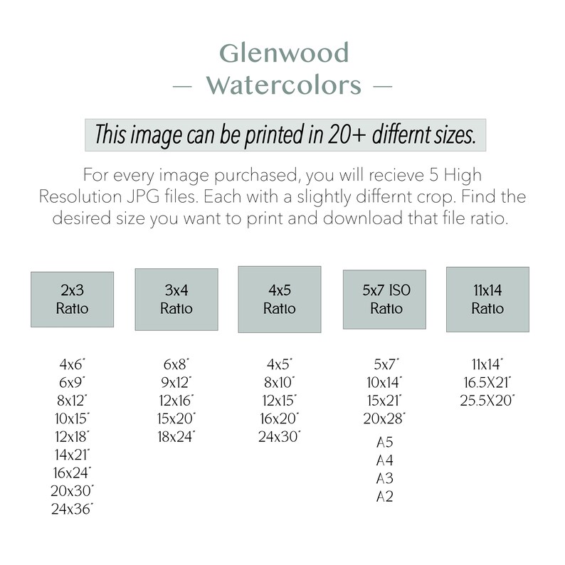May include: A chart showing different print sizes for a watercolor image. The chart lists sizes in inches and includes standard paper sizes like A2, A3, A4, and A5.