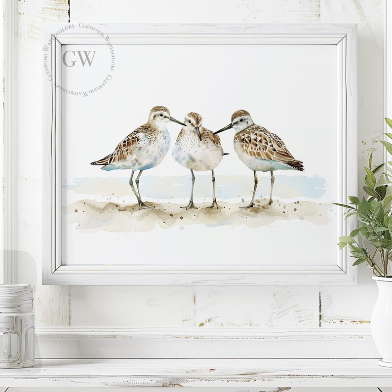 May include: Watercolor painting of three brown and white sandpipers standing on a sandy beach. The birds are facing each other and appear to be talking. The background is a light blue watercolor wash.