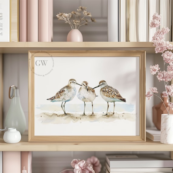 Watercolor Sandpiper Bird Trio Watercolor Digital Download | Coastal Decor | Beach Vibe Artwork | Beautiful Sea Birds Art | Watercolor Birds