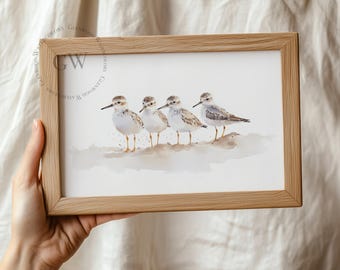 May include: A framed watercolour print depicting four shorebirds on a sandy beach. The birds have brown and white plumage and long beaks. The frame is made of light-coloured wood. The print is signed "GW Watercolors Glenwood".