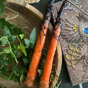 Può includere: Due candele a cono arancioni con gocce di cera nera, presentate in una ciotola di legno con vegetazione. Le candele hanno un aspetto rustico e fatto a mano. Un diario decorativo e un candelabro ornato sono sullo sfondo.