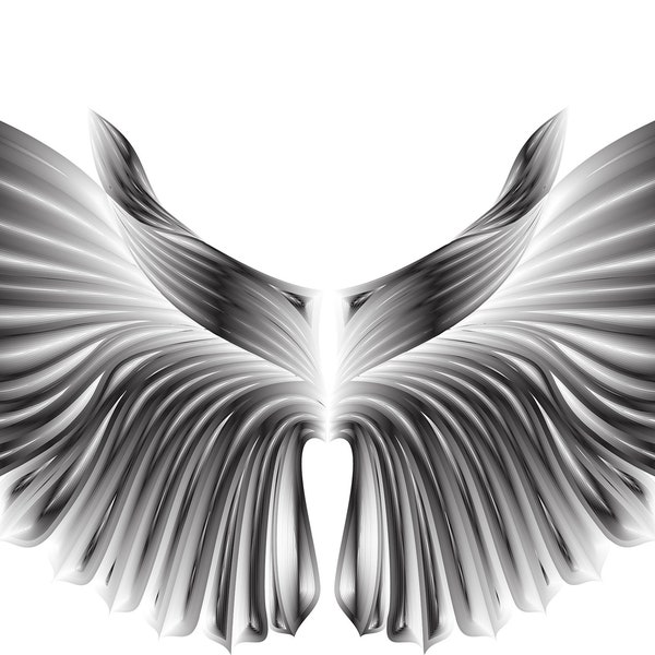 Angel wings svg, cosplay wings, wings painting download, angel wings painting