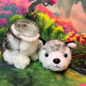 May include: A white and black furry husky dog head with blue eyes and a black nose. The dog head is attached to a clear glass jar with a white lid.