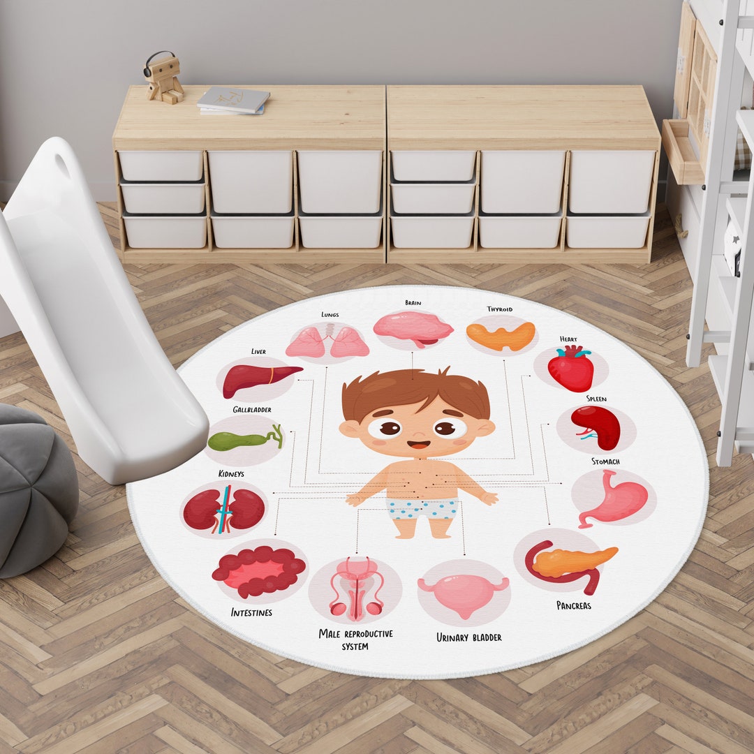 Human Body Rug Educational Kids Rugs, Educational Play Mat,human Organs Nursery Rug ...