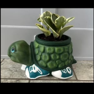 May include: A green ceramic turtle planter with blue sneakers, holding a small green and white plant.