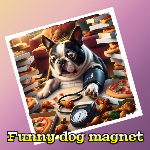 Boston terrier  magnetic sticker, animal magnetic stickers, funny animal magnetic stickers, funny photo magnetic animal stickers