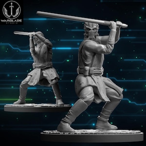 Könnte beinhalten: Zwei graue Plastikfiguren von Kriegern, die Waffen halten, eine mit einem langen Stab und die andere mit einem kürzeren Stab. Beide Figuren tragen Roben und haben detaillierte Gesichtszüge.