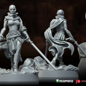 Può includere: Una miniatura stampata in 3D di colore grigio di una figura femminile con la testa rasata, che indossa una lunga tunica e tiene due spade. La figura è in piedi su una base rotonda. Il testo "Assault on Clank Mountain" è visibile sullo sfondo.