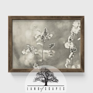 Vintage Style Plants and Flowers Art | Classic Wild Plants Simple Design | Neutral Tone Wall Print | DOWNLOAD ART PRINT