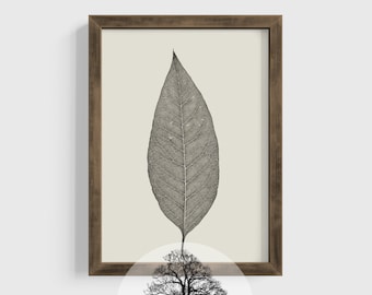 Vintage Style Leaf Art | Classic Single Leaf Print | Simple Tree Leaf Design | DIGITAL DOWNLOAD