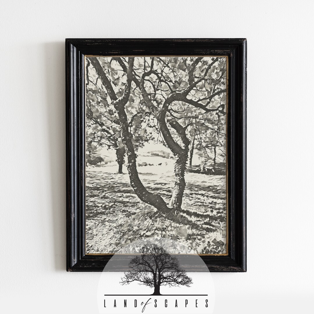 Vintage Look Old Mature Tree Art | Classic Sketch Style Trees and ...