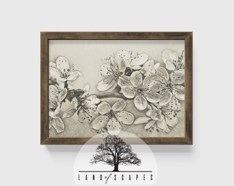 Arte floral vintage / Boceto botánico vintage / Estampados de flores de diseño antiguo / Arte de pared de vivero / Dibujo de flores / Arte imprimible