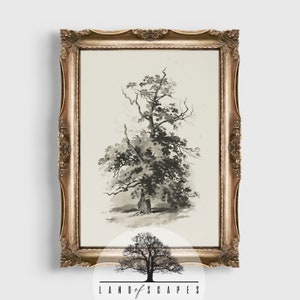 Classic Artistic Tree Art | Vintage Style Tree Design | Simple Neutral Tree Sketch Home Decor | PRINTABLE DOWNLOAD
