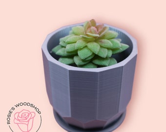 Silver 3D printed planter with fake succulent