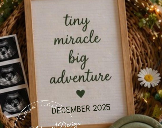 Tiny Miracle Big Adventure: Editable Canva Pregnancy Template (Digital Download)
