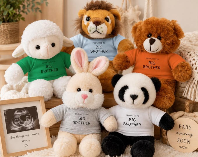 Promoted to Big Brother Stuffed Animal, Pregnancy Announcement Plush, Sibling Reveal Gift, Personalized Teddy Bear or Animal