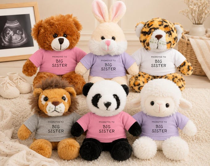 Promoted to Big Sister Stuffed Animal, Pregnancy Announcement Plush, Sibling Reveal Gift, Personalized Teddy Bear or Animal