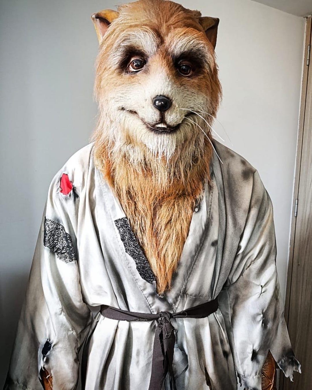 Splinter Costumer Professional Anthropomorphic Rat Costume - Realistic Martial Arts ...