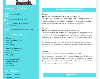 Waiter/bartender resume template