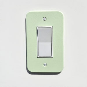 May include: A light green, rectangular light switch plate with a silver toggle switch. The plate is mounted on a white wall and secured with two silver screws.
