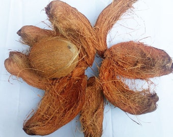 Cáscara de coco natural, cáscara de coco secada al sol para orquídeas, plantas de interior, plantas colgantes y juguetes para pájaros.