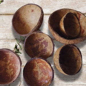 Puede incluir: Seis cuencos marrones de cáscara de coco de diferentes tamaños y formas. Los cuencos están dispuestos sobre una superficie de madera blanca.