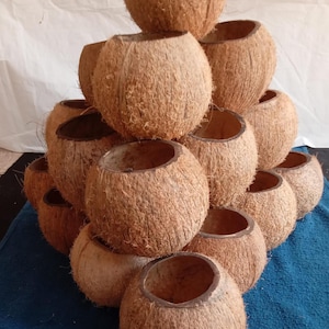 Jarrones de flores de cáscara de coco natural, decoración de bodas, decoración del hogar, centros de mesa para fiestas, decoración de cabañas, casas de campo y casas de playa