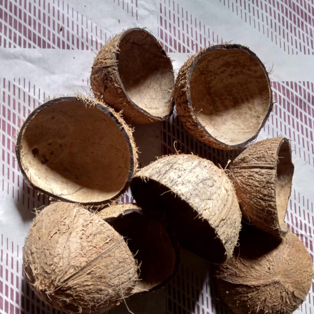 Natural Coconut Shell Halves for Candle, Beads, Jewelry, Ornaments ...