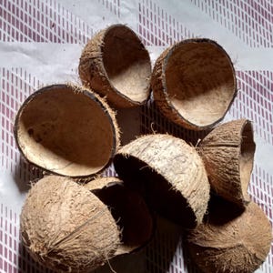 Puede incluir: Un grupo de seis cáscaras de coco marrones, cada una con una forma y un tamaño diferentes. Las cáscaras están dispuestas en una pila sobre una superficie con un patrón blanco y marrón.