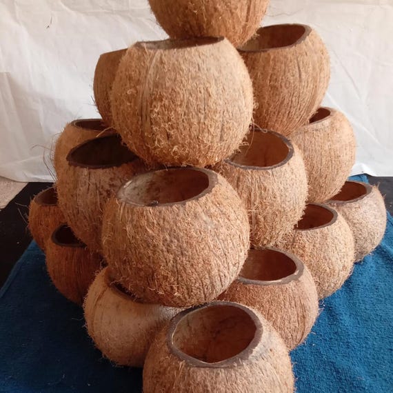 natural coconut shell flower vases, wedding decor, home decor, table centerpieces for party cottage decor, farmhouse and beach house decor