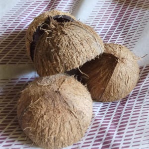 Naturliga kokosnötshalvor Miljövänliga smycken Rustik heminredning, hantverksmaterial, ljusstakar, krukor och gör-det-själv-projekt