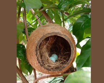 Jaula para pájaros hecha con cáscara de coco natural para colgar en interiores o exteriores, un regalo para los amantes de las aves, un suministro para mascotas para un regalo de amigo, nido de pájaro.