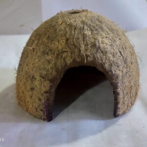May include: A brown coconut shell hide with a large opening for small animals. The hide is made from a natural coconut shell and has a rough texture.