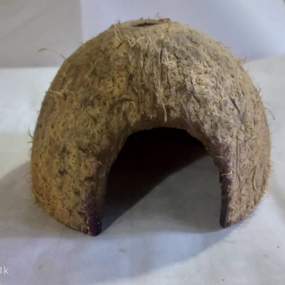 natural aquarium decoration coconut shell half for fish, shrimp hiding places made with coconut shell half for terrarium