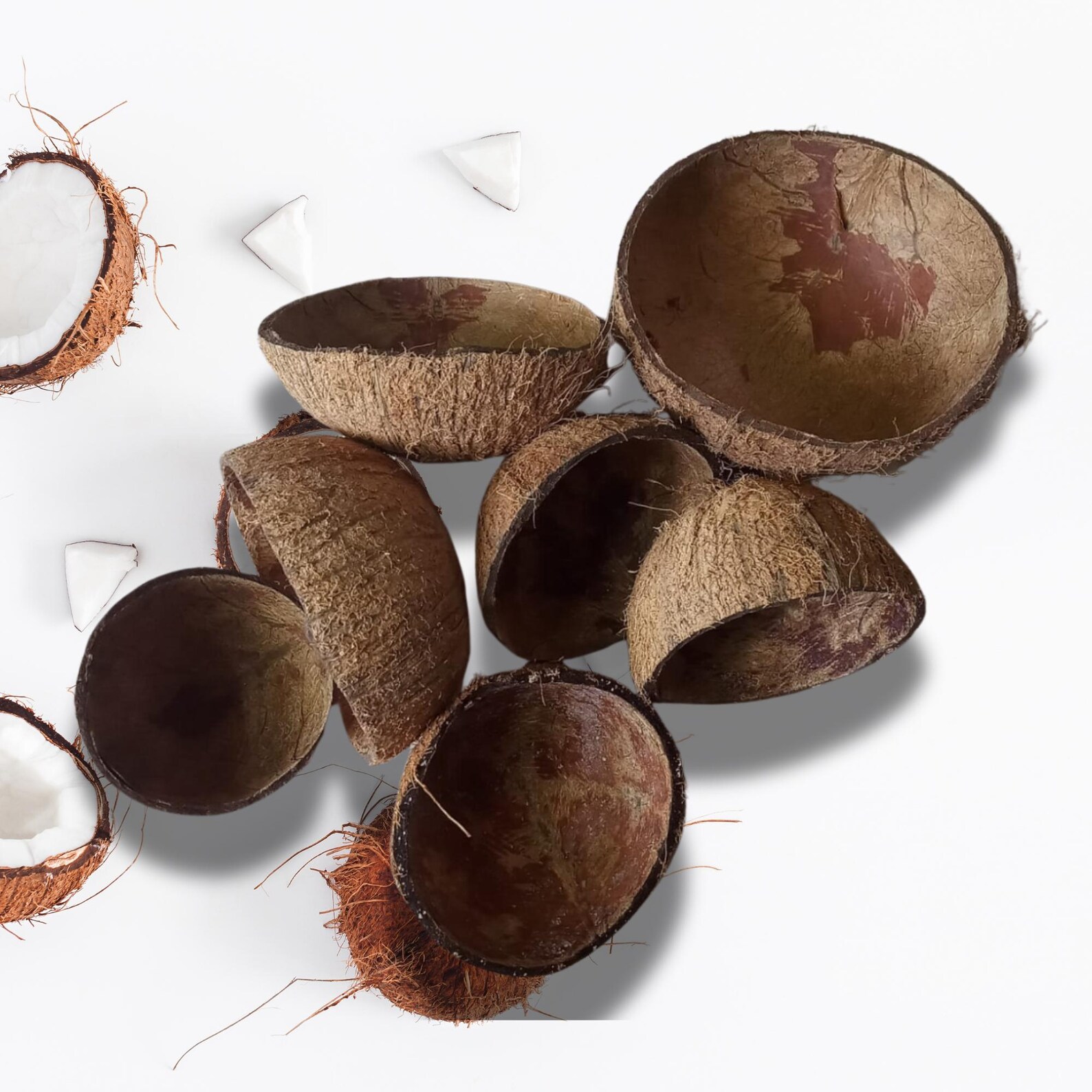 Natural Coconut Shell Halves Sample for Candle, Beads, Jewelry ...