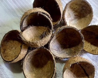 natural coconut shell half for coconut  bowls, home decor, lamps, coconut shell spoons, candle holders, beads, hanging plants,jewelry making
