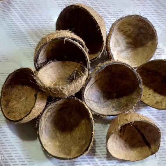 natural coconut shell half for coconut  bowls, home decor, lamps, coconut shell spoons, candle holders, beads, hanging plants,jewelry making