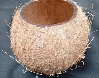 natural coconut shell for flower vases, containers, home decor, DIY crafts, candles, coconut bowls, coconut drinkware
