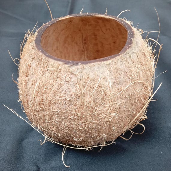 natural coconut shell for flower vases, containers, home decor, DIY crafts, candles, coconut bowls, coconut drinkware
