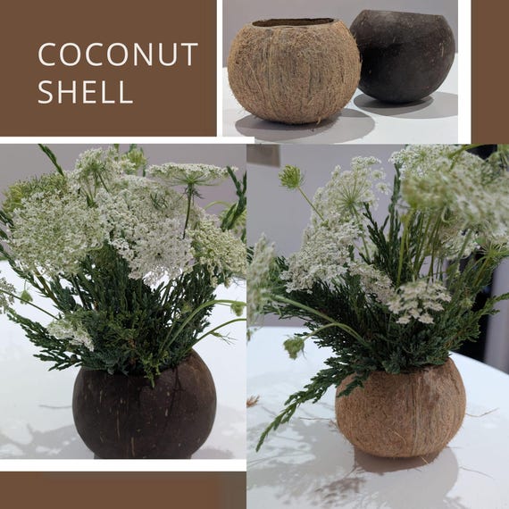 natural coconut shell flower vases, rustic or smooth surface coconut cup for cozy home decor, table centerpieces, party or restaurant decor