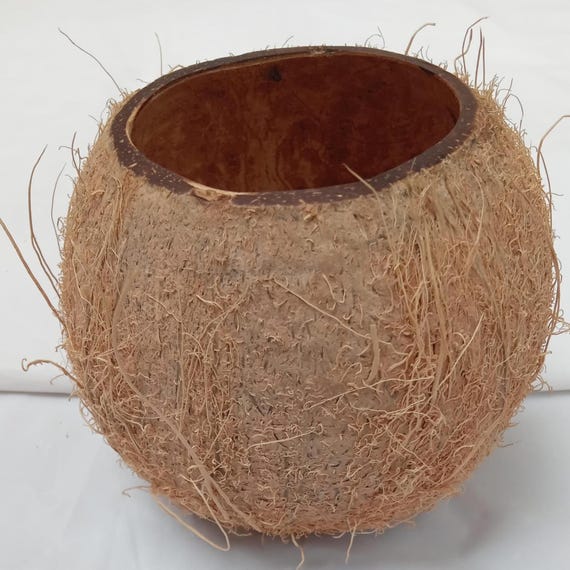 real coconut cup for party decor, natural flower vase, aloha theme decor, farm house decor, coconut shell vase table decoration
