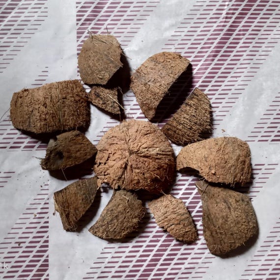 Natural coconut shell pieces for charcoal production, gardening needs, fish tanks aquariums, and terrariums.