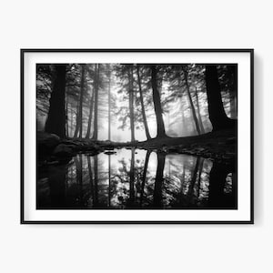 Photo de paysage noir et blanc de la forêt brumeuse : impression d&#39;art atmosphérique (téléchargement numérique)