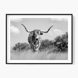 Enhance your space with a striking Texas Longhorn portrait in black and white. Downloadable fine art photography for rustic wall decor.