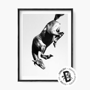 Foto surreal de um cavalo de cabeça para baixo: Equestrian Fine Art (download digital)