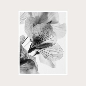 Fotografia artistica macro botanica: decorazione murale in bianco e nero (download digitale)