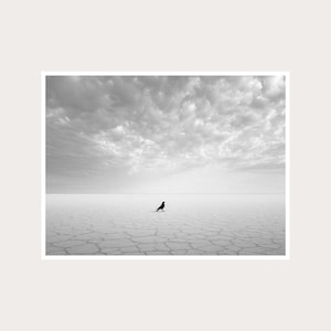 Minimalist Desert Bird Fine Art Photography: Black White Wall Decor (Digital Download)
