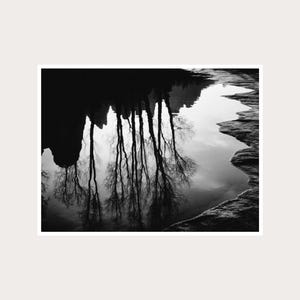 Fotografía artística abstracta de un árbol reflejado: Arte mural en blanco y negro (Descarga digital)