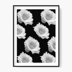 Könnte beinhalten: Schwarz-Weiß-Kunstdruck mit Blumenmotiv. Das gerahmte Kunstwerk zeigt ein sich wiederholendes Muster aus großen, flauschigen weißen Blumen vor einem schwarzen Hintergrund. Die Blumen haben detaillierte Texturen und sind in einer ansprechenden Komposition angeordnet.