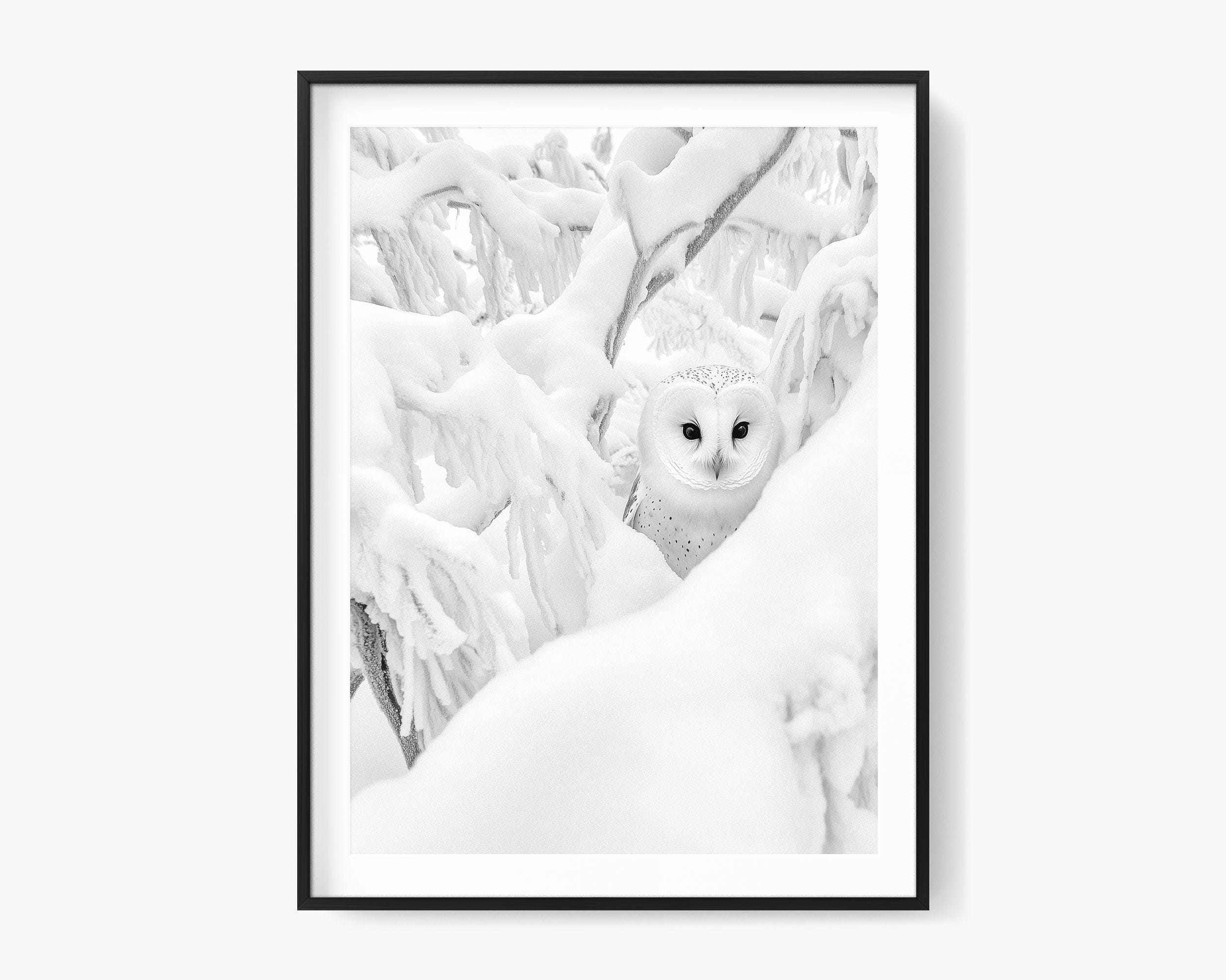 Barn Owl in Snowy Tree Photo Print: Minimalist Black and White Art (Digital Download)